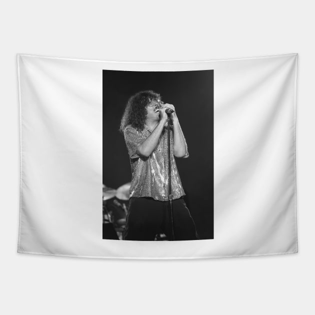 Weird Al Yankovic BW Photograph Tapestry by Concert Photos