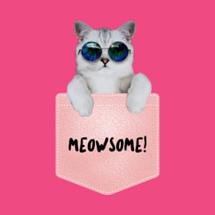 Meowsome! T-Shirt