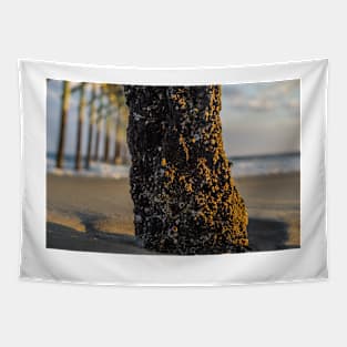 Barnacles scapes Tapestry