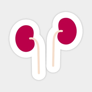 Kidney Magnet