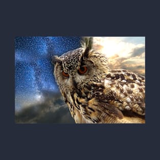 Night and Day Owl T-Shirt