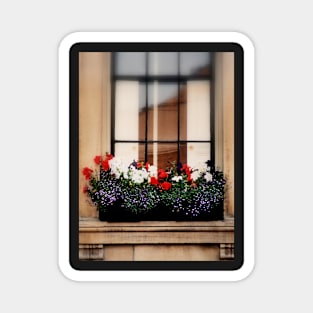 Windowsill & Spring Flowers Magnet