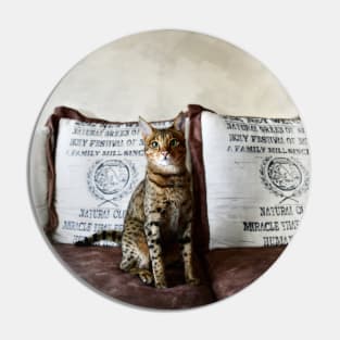 Savannah Cat 2 / Swiss Artwork Photography Pin