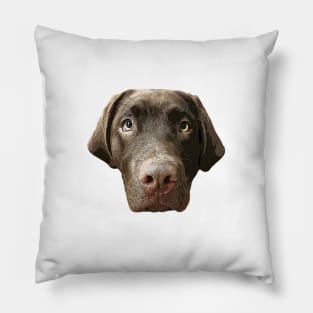 Labrador Chocolate Lab Puppy Dog Pillow