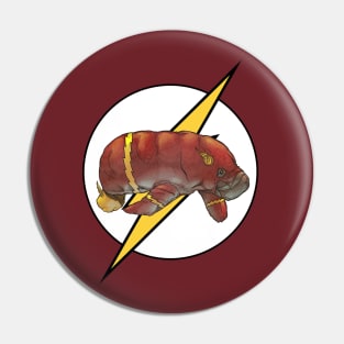 Flash Pin