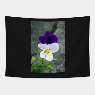 The Wild Pansy Tapestry