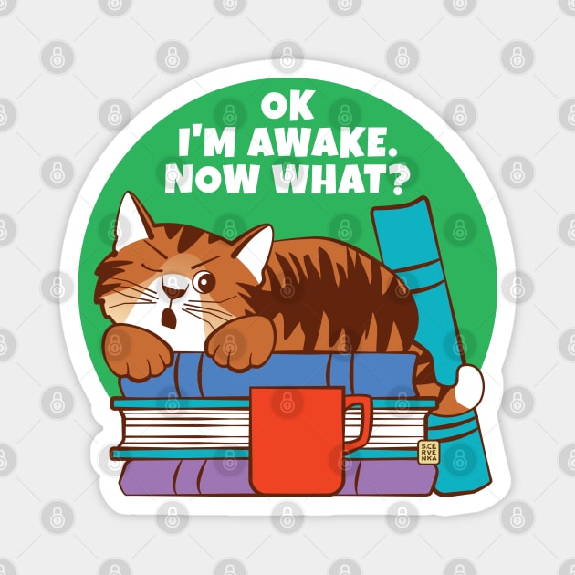 I'm Awake Now What Grouchy Sleeping Cat Magnet by Sue Cervenka