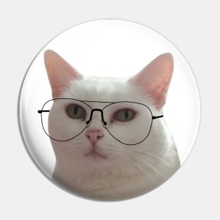 Cute Cat With Glasses Pin