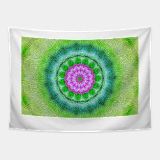 Apple Blossom Kaleidoscope Tapestry