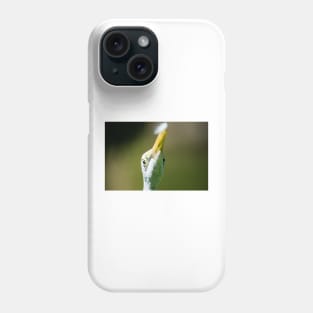 Close up of a Great egret Phone Case