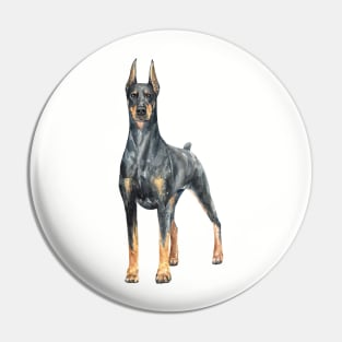 Black Doberman Watercolor Painting Pin