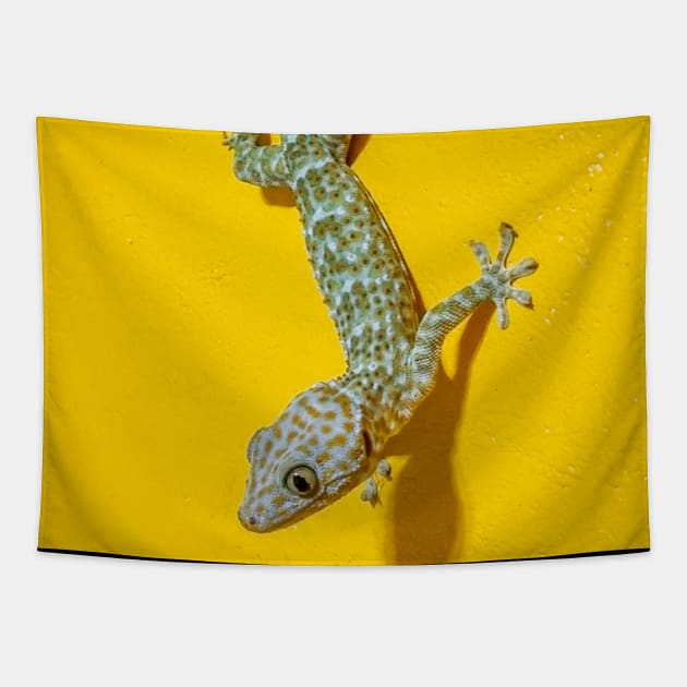 Tokay Gecko Tapestry by Upbeat Traveler