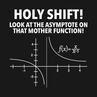 Holy Shift Look At Asymptote On That Mother Function T-Shirt