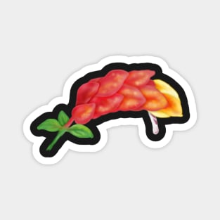 Pink Shrimp Plant Flower Digital Art Magnet