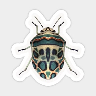 Picasso Bug Magnet