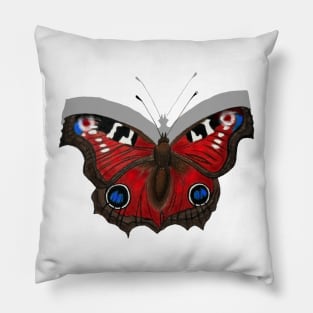 Peacock Butterfly with Shadow Pillow