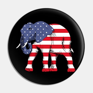 America Pin