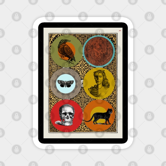 Halloween Omens, Signs, Symbols, and Portents. Skull, Moon, Black Cat, Mask, Memento Mori, Moth, Crow. Magnet by SwagOMart