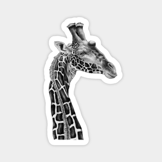 Giraffe Magnet by Tim Jeffs Art