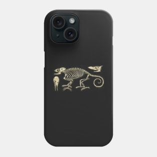 Chameleon Skeleton Anatomy Vintage Science Phone Case