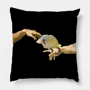 Creation of a Goffin's cockatoo Pillow