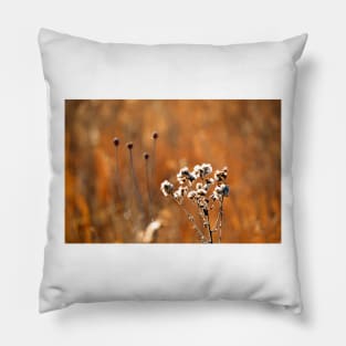 The Rhythm of Nature Pillow