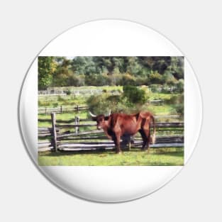 Bulls - Bull in Pasture Pin