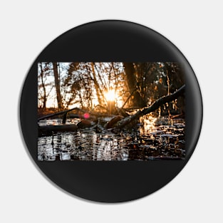 Sun over forest pond Pin