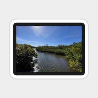 Sparkling Florida Waterway at Robinson Preserve Magnet