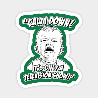 Calm Down! It's Only a Television Show! Magnet