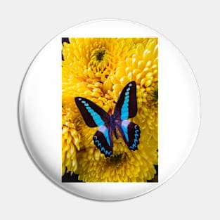 Blue Black Butterfly On Yellow Mums Pin