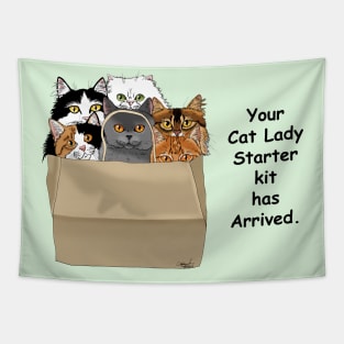 Cat Lady Starter Kit Tapestry