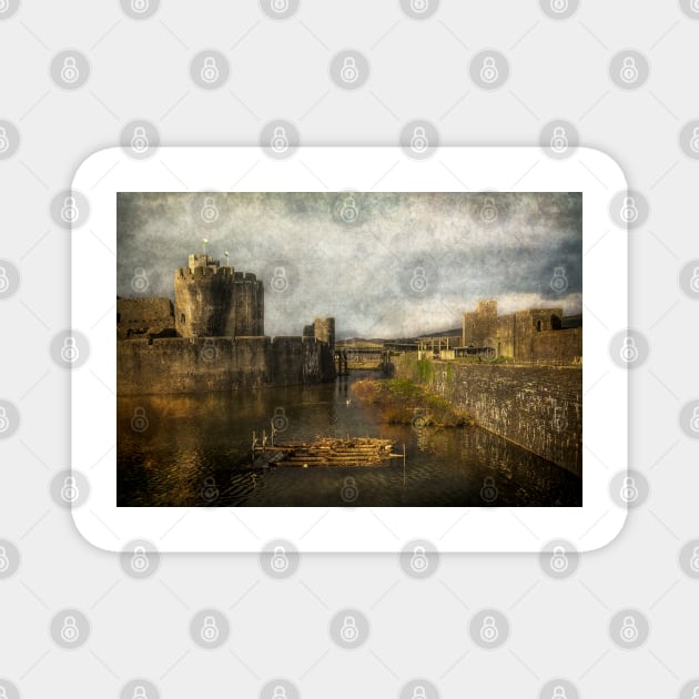 Inner Moat At Caerphilly Castle Magnet by IanWL