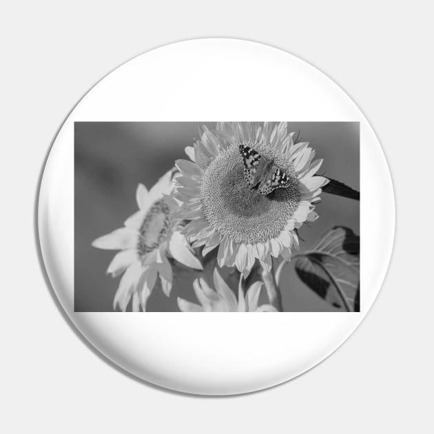 American Painted Lady Butterfly On Sunflower Pin by AinisticGina