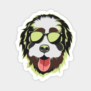 Bernedoodle Face Neon Light Color Magnet