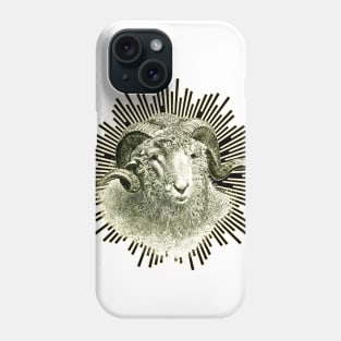 Cute little sheep with the twisted horn is looking at us Phone Case