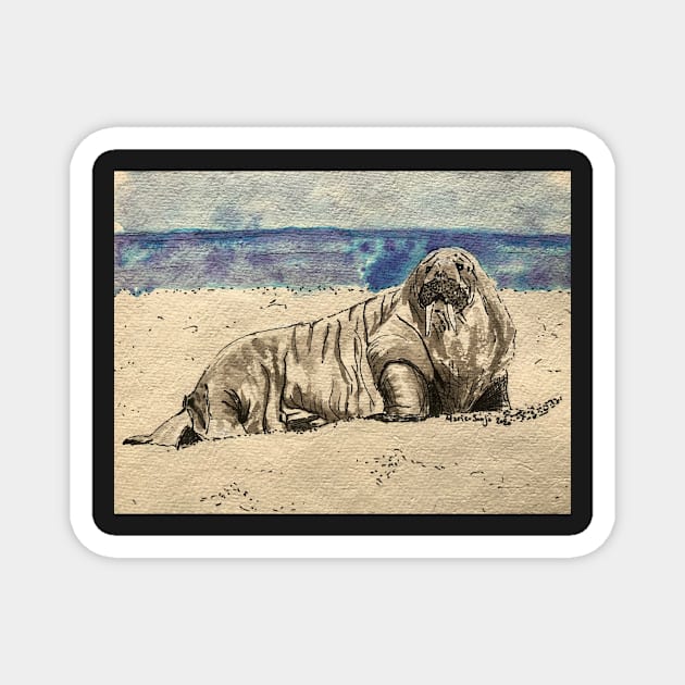 Walrus on the Beach Magnet by artmarieso