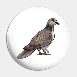 Bird - Dove - Spotted Dove Pin