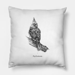 Pyrrhuloxia bird Pillow