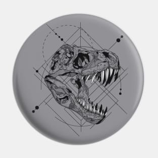 Dinosaur dimensions Pin