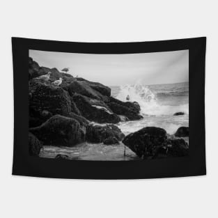 Seagulls and Breaking Waves on Rockaway Beach Tapestry