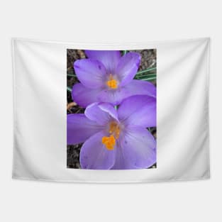 Purple Crocus Tapestry