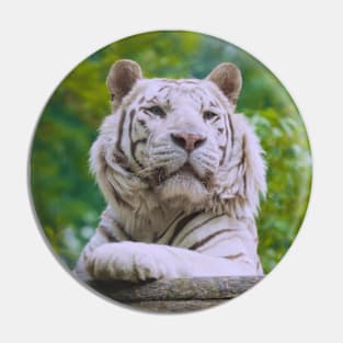 White Tiger (Soft) Pin