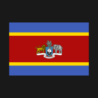 Flag of Swaziland T-Shirt