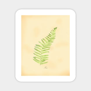 Fern, botanical watercolor painting Magnet