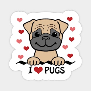 I Love Pugs Magnet