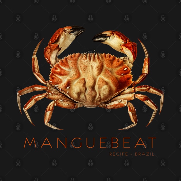 Manguebeat - Recife - Brazil by TambuStore