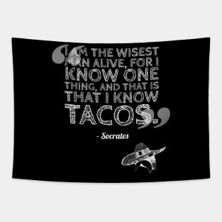 Taco Philosophy Wisest Socrates Tapestry