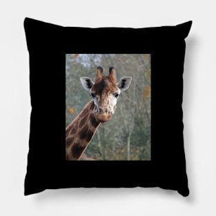 Giraffe's majestic portrait Pillow