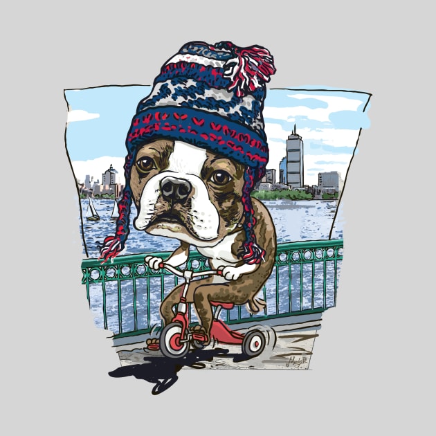 Boston Terrier Dog with Blue Silver and Red Winter Beanie by Mudge